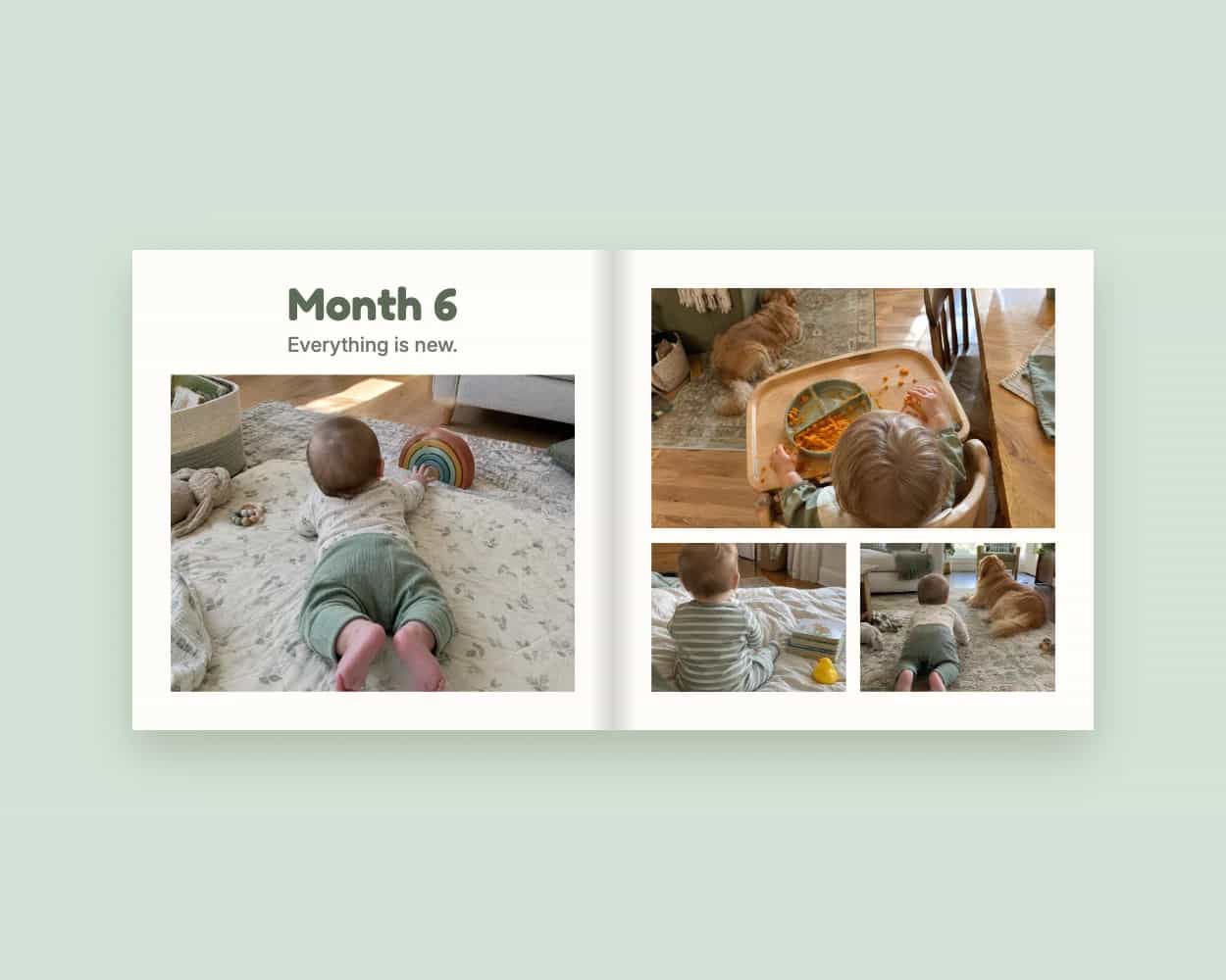 Example pages from a baby photo book: Month 6.