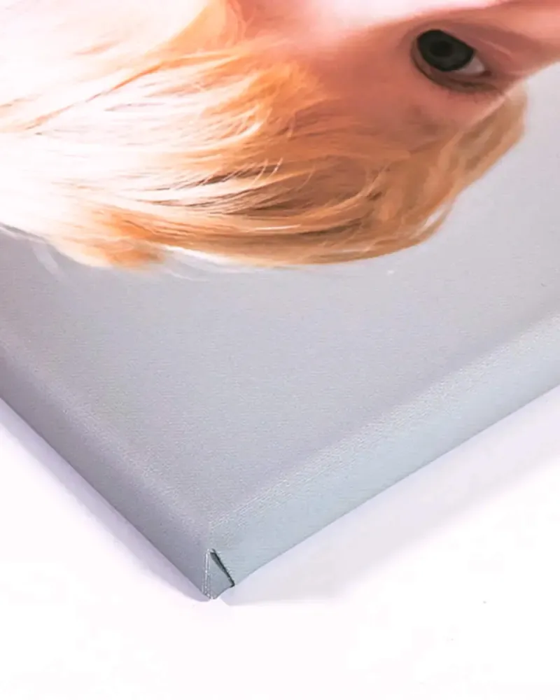 Canvas Drucke